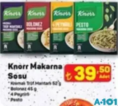 KNORR MAKARNA SOSU